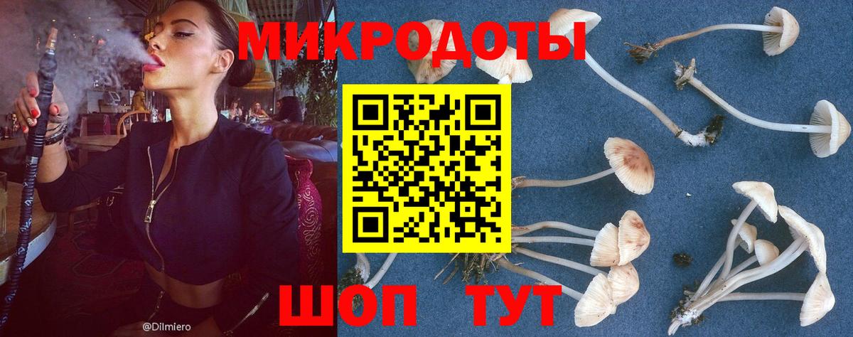 ГЕРОИН Каменск-Шахтинский