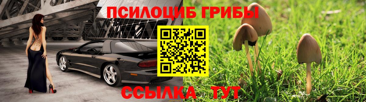 Каменск-Шахтинский  Псилоцибиновые грибы ЛСД  Псилоцибиновые грибы Magic Shrooms  Вход с VPN 