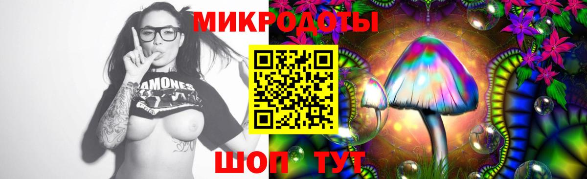 Псилоцибиновые грибы мухоморы Каменск-Шахтинский